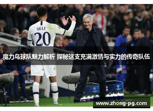 魔力鸟球队魅力解析 探秘这支充满激情与实力的传奇队伍