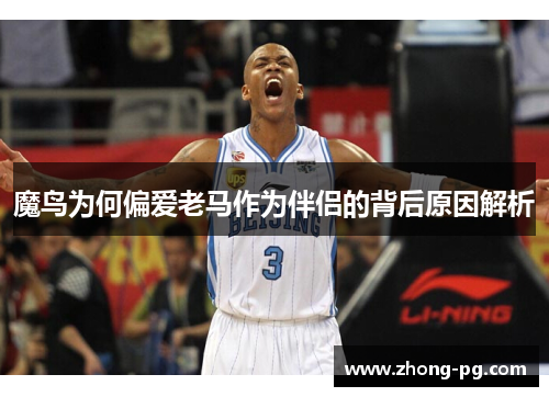 魔鸟为何偏爱老马作为伴侣的背后原因解析