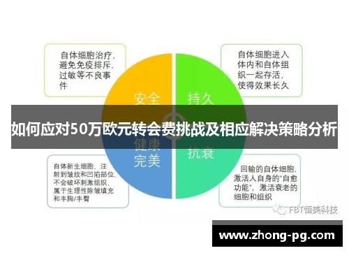 如何应对50万欧元转会费挑战及相应解决策略分析