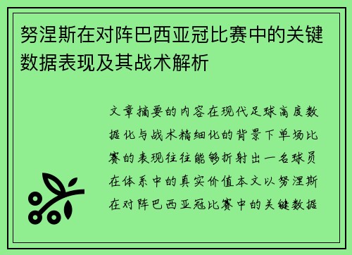 努涅斯在对阵巴西亚冠比赛中的关键数据表现及其战术解析