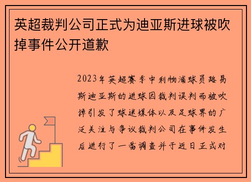 英超裁判公司正式为迪亚斯进球被吹掉事件公开道歉